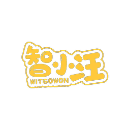 智小汪 WITSOWON