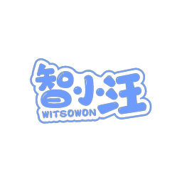 智小汪 WITSOWON