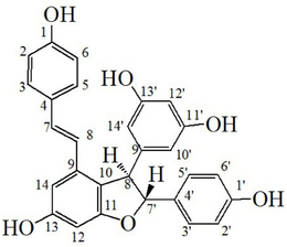 一种从葡萄枝蔓中提取高纯度ε-葡萄素的方法