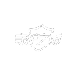 守护之盾