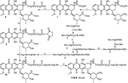阿霉素-RGDS,其合成,活性和应用