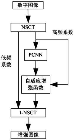 基于NSCT和PCNN的数字图像增强方法