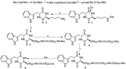 3S-吲哚甲基-6R-Lys修饰的哌嗪-2,5-二酮，其合成，活性和应用