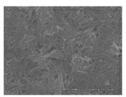 以凹凸棒石纳米纤维为分离层的陶瓷微滤膜的制备方法