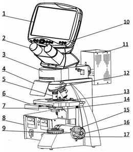 一种目镜和显示屏同步显示的多功能数码液晶荧光显微镜
