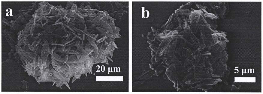 一种二维中空纳米片结构的硫化钴/g-C3N4复合电极材料及其制备方法