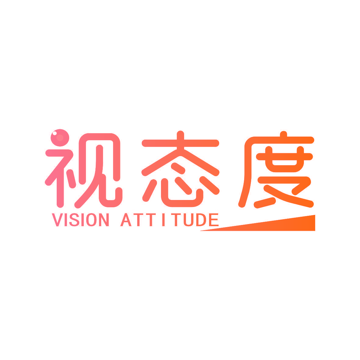 视态度 VISION ATTITUDE