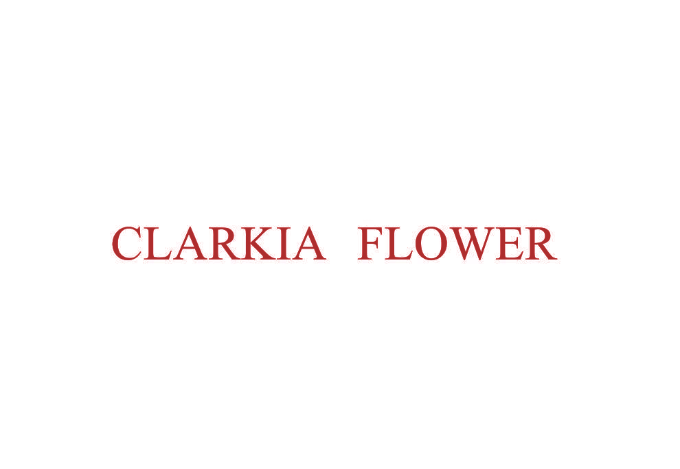 CLARKIA FLOWER