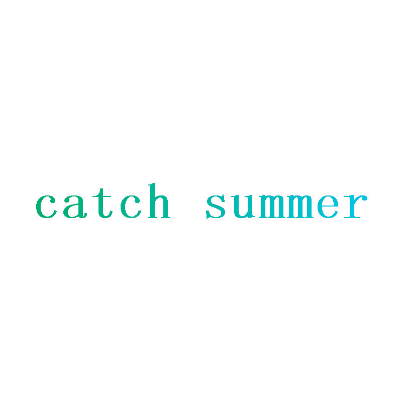 CATCH SUMMER