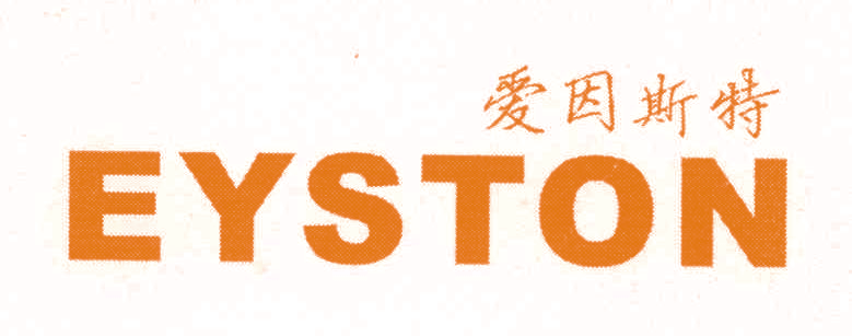 爱因斯特 EYSTON