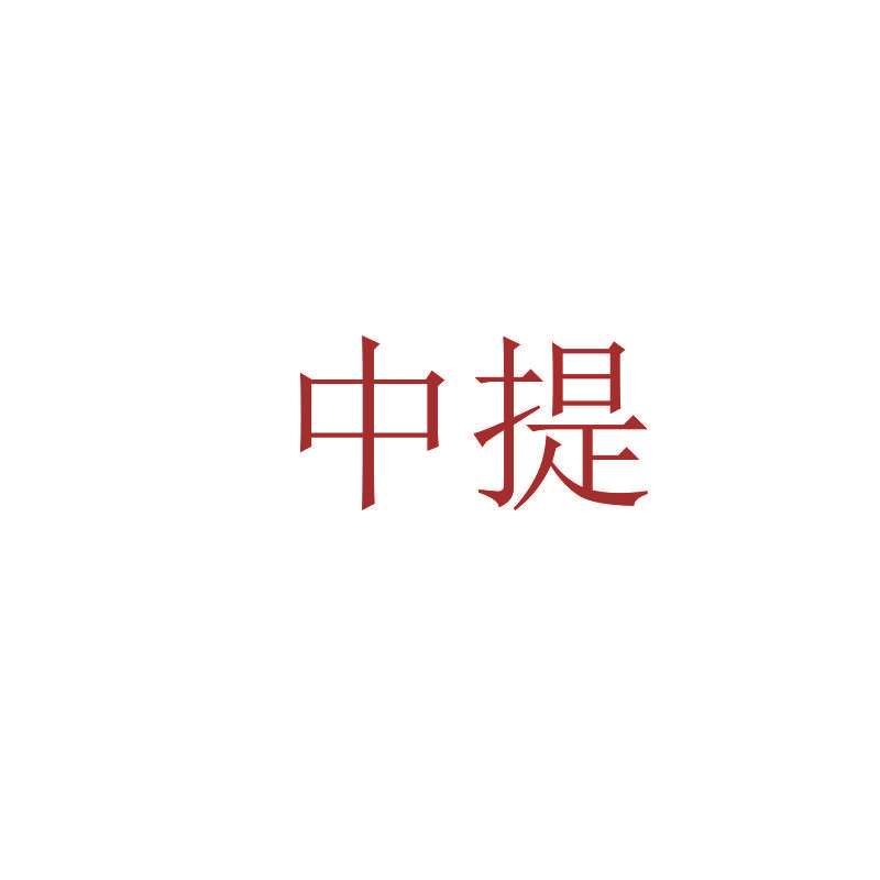 中提