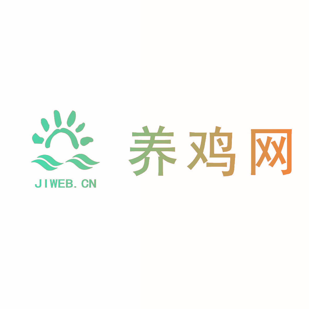 养鸡网  JIWEB.CN