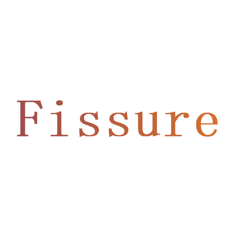 FISSURE