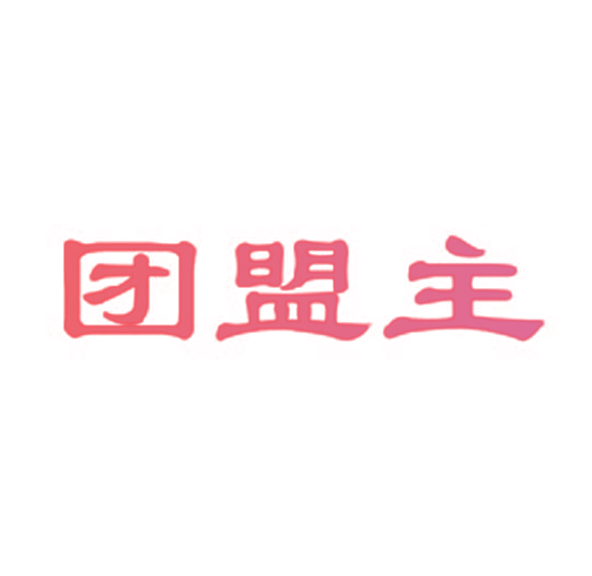 团盟主