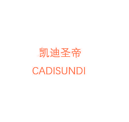凯迪圣帝 CADISUNDI