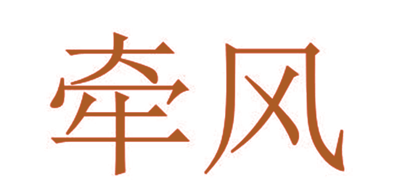 牵风