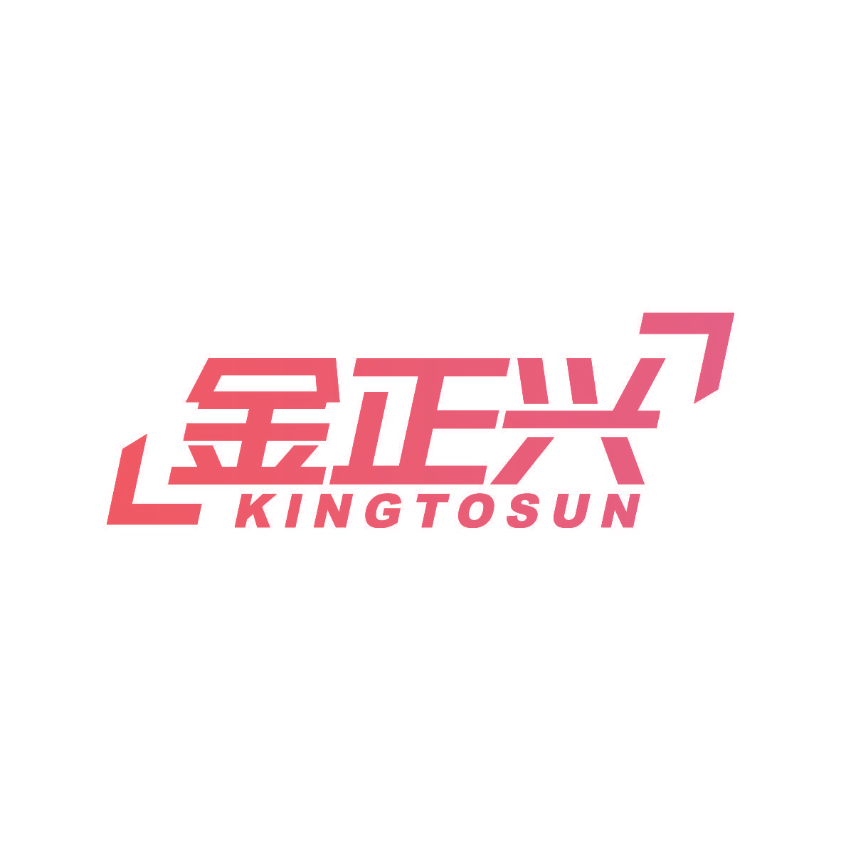 金正兴 KINGTOSUN