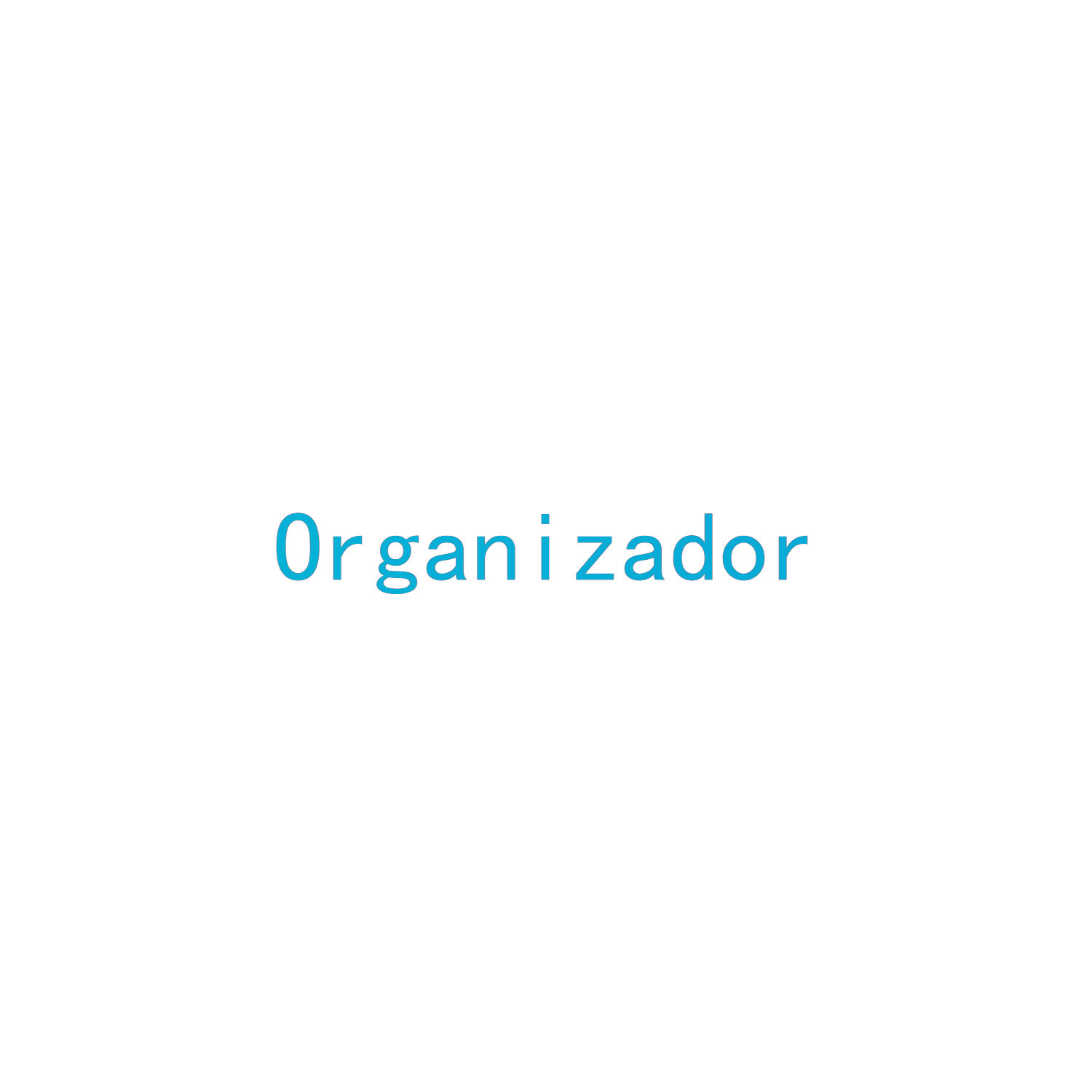 ORGANIZADOR