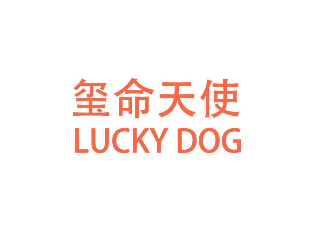 玺命天使 LUCKY DOG