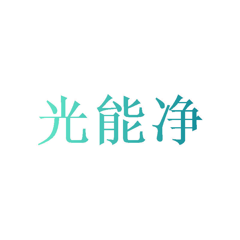 光能净
