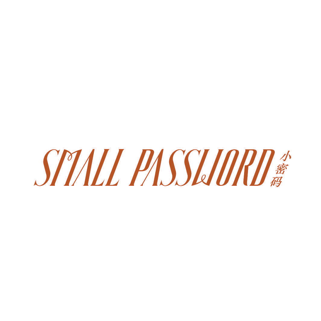 小密码 SMALL PASSWORD