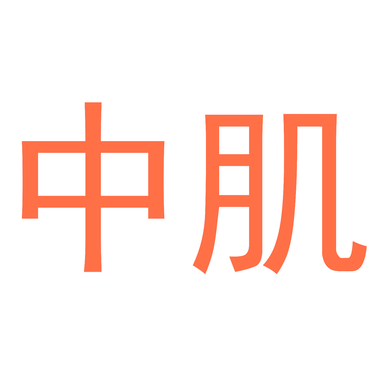 中肌