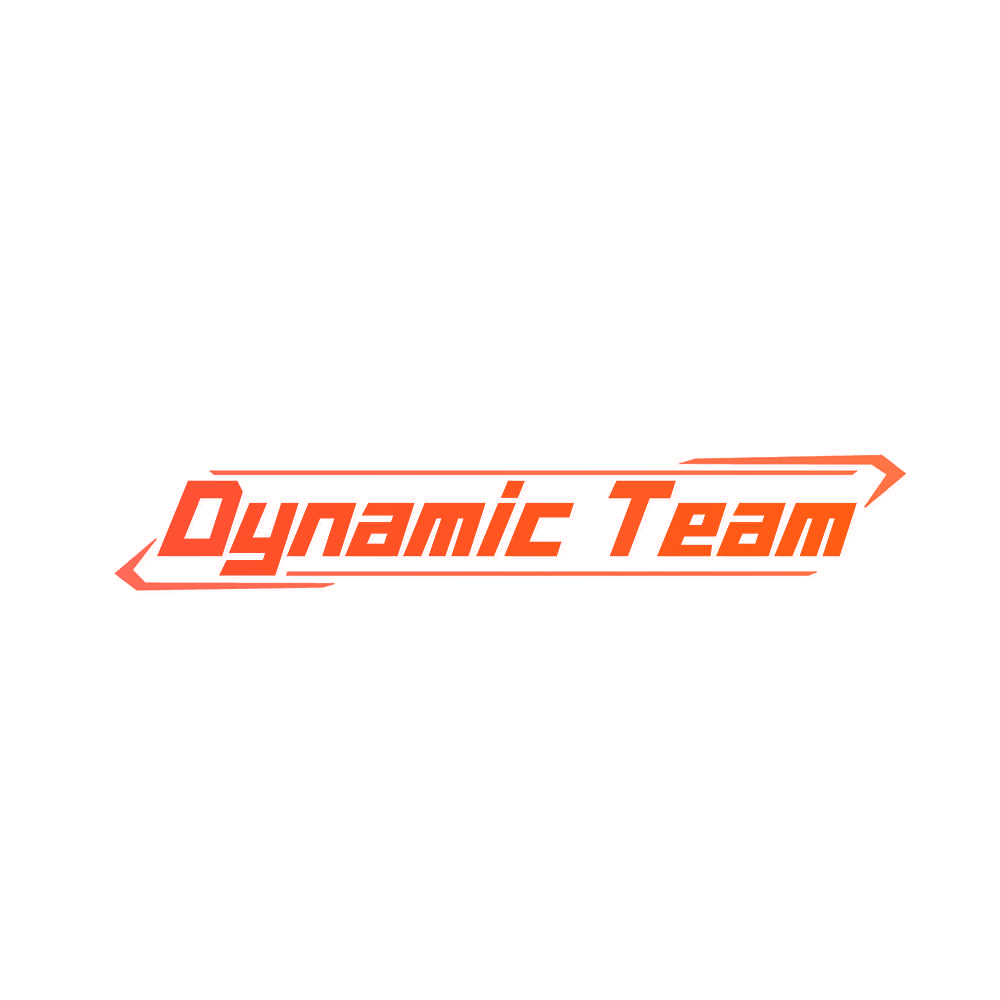 DYNAMIC TEAM