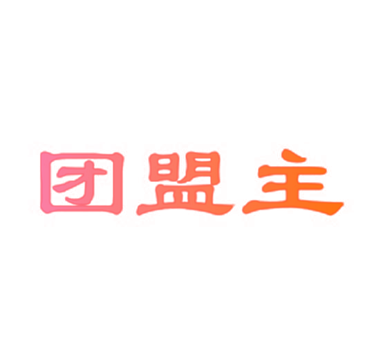 团盟主
