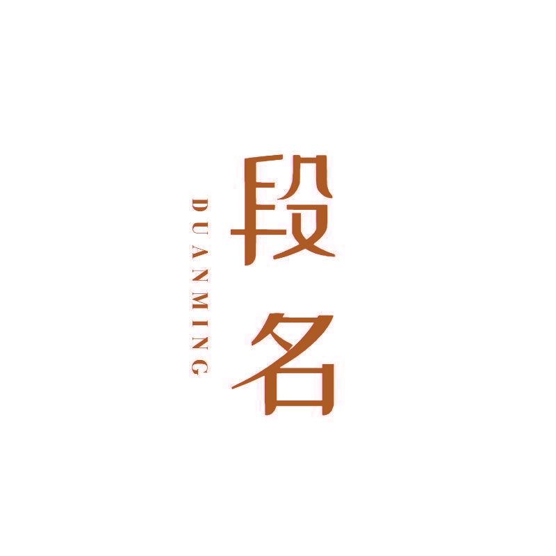 段名
