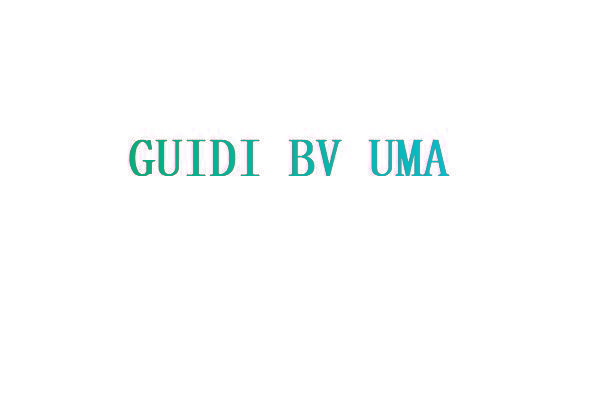 GUIDI BV UMA
