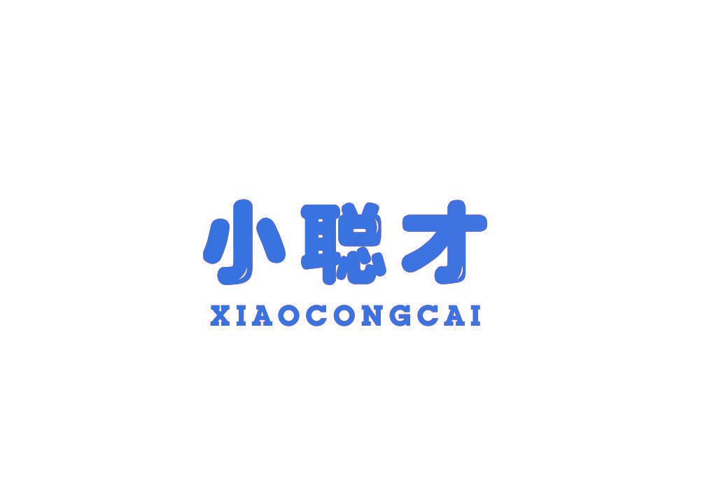 小聪才