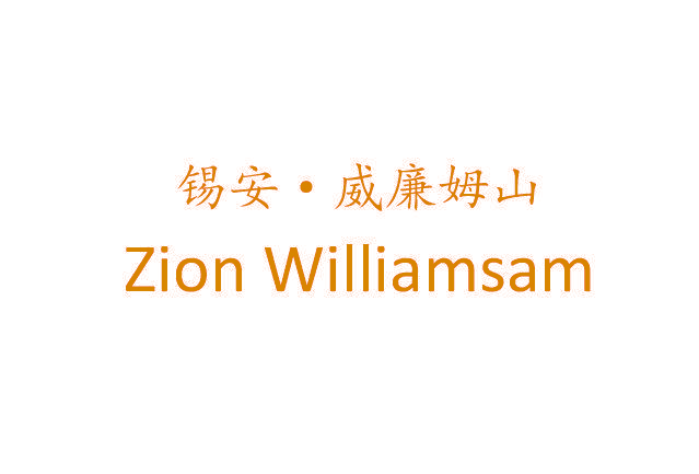 锡安·威廉姆山 ZION WILLIAMSAM