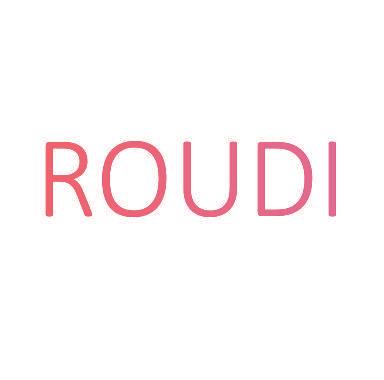 ROUDI
