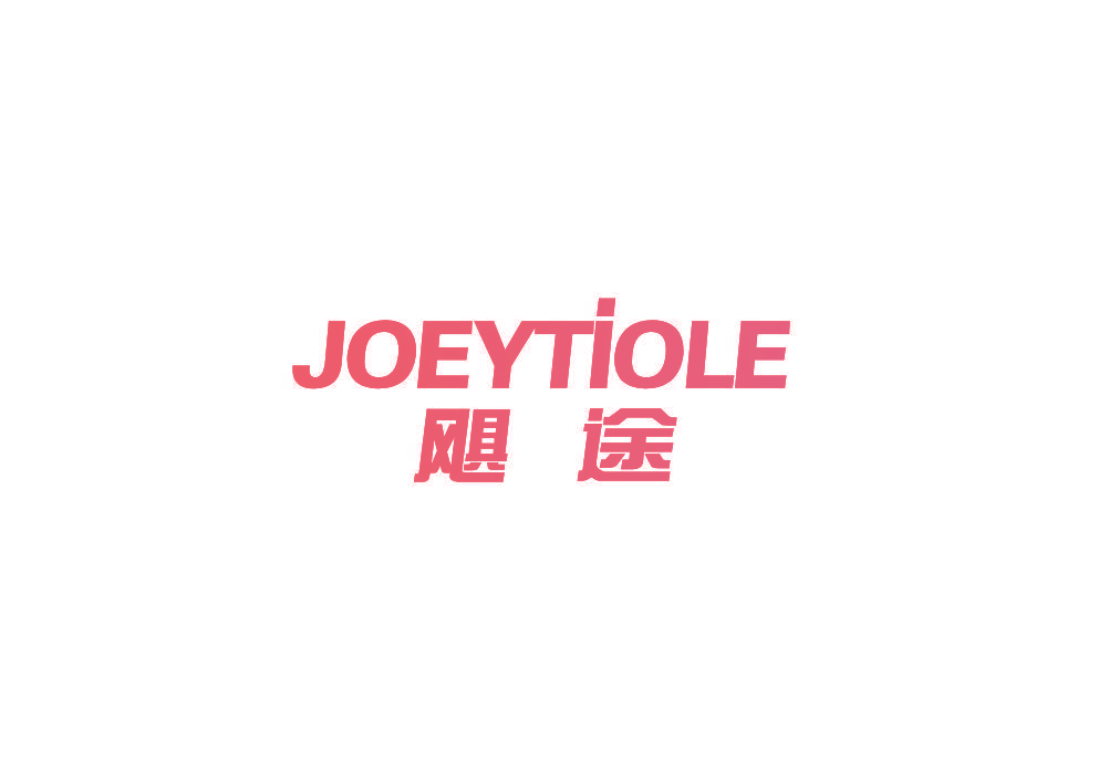 飓途 JOEYTIOLE
