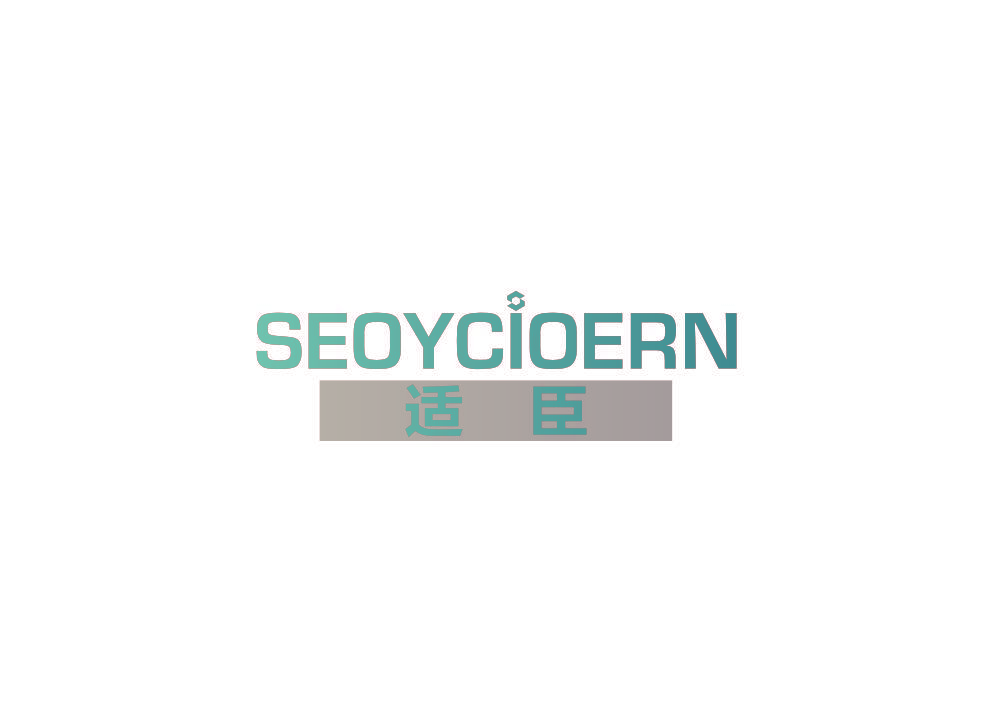 SEOYCIOERN 适臣