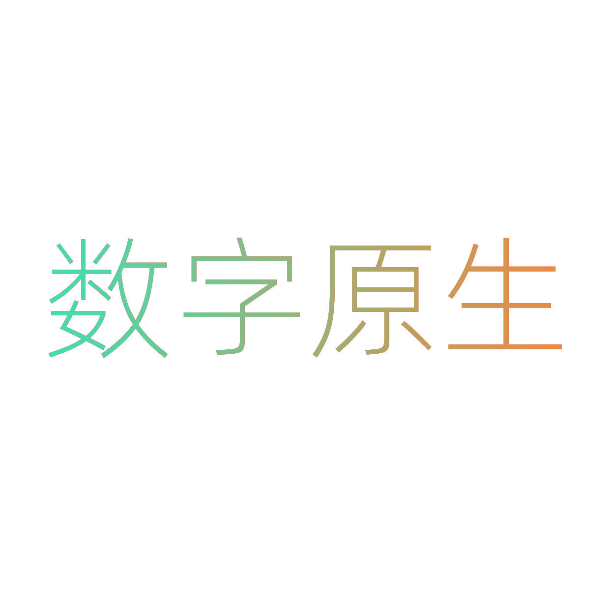 数字原生