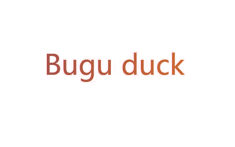 BUGU DUCK