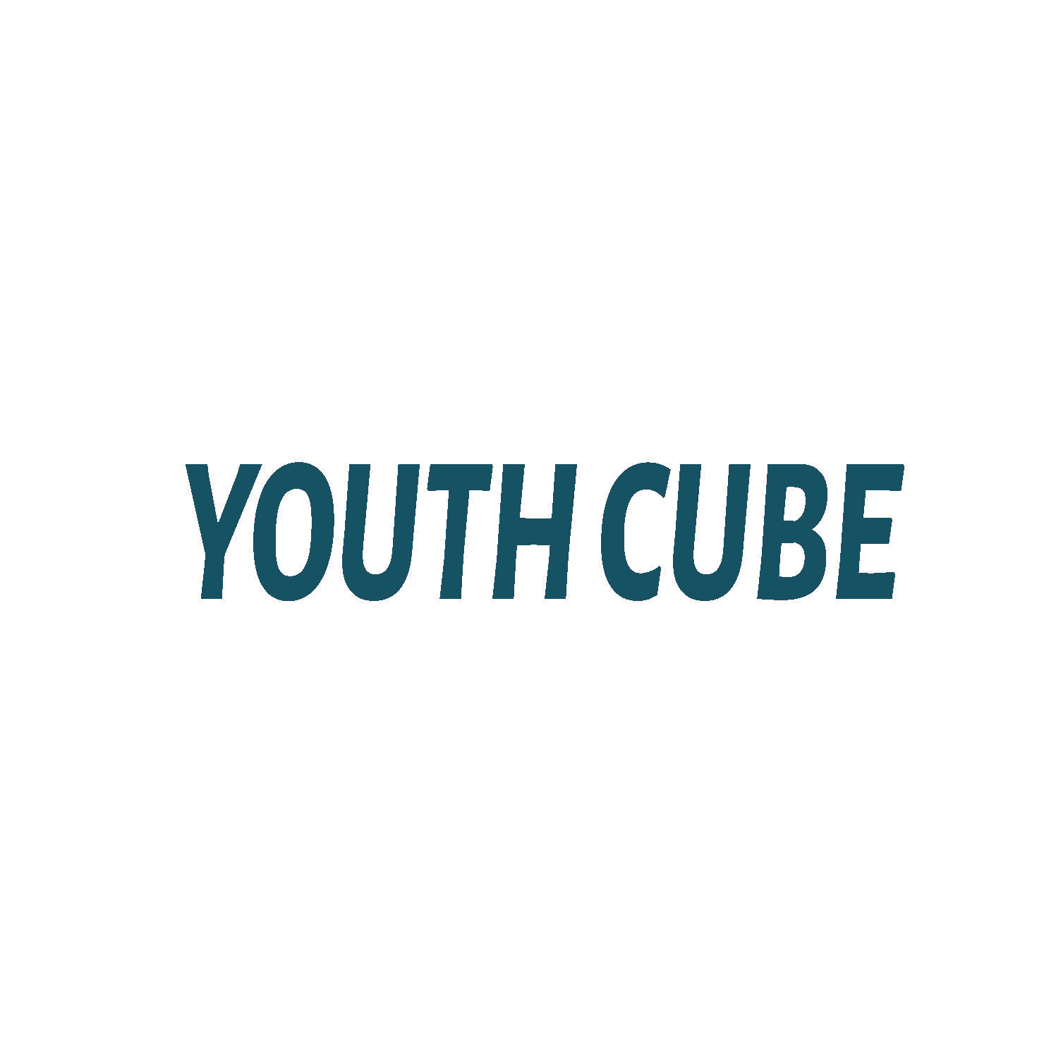 YOUTH CUBE