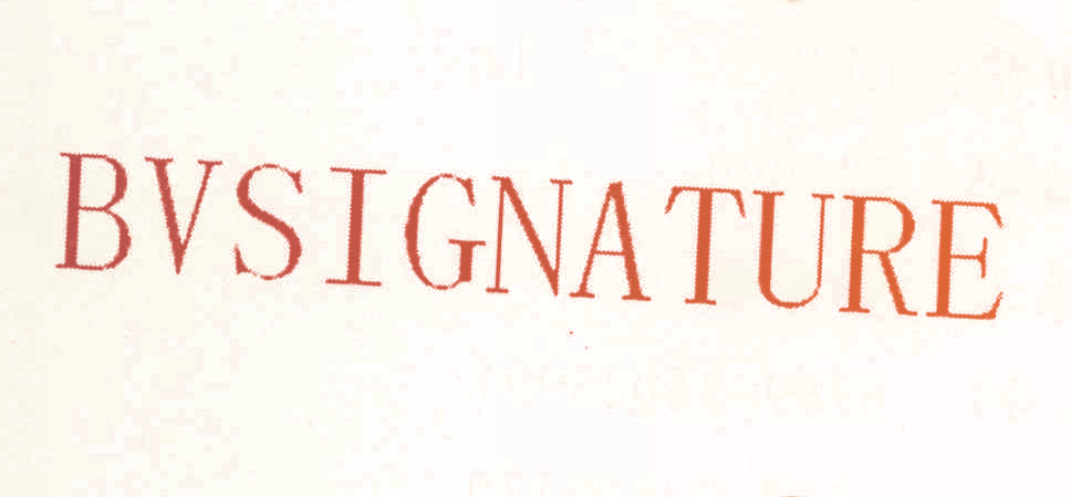 BVSIGNATURE