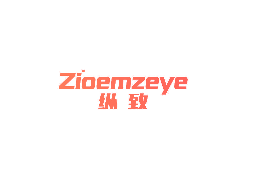 纵致 ZIOEMZEYE