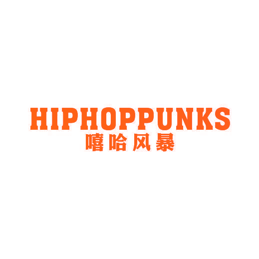 嘻哈风暴 HIPHOPPUNKS
