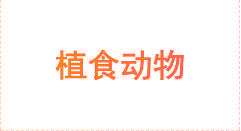 植食动物