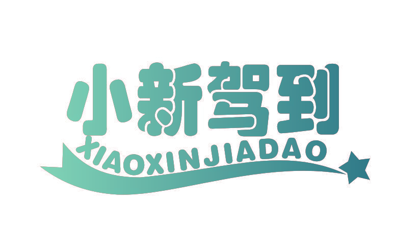 小新驾到
