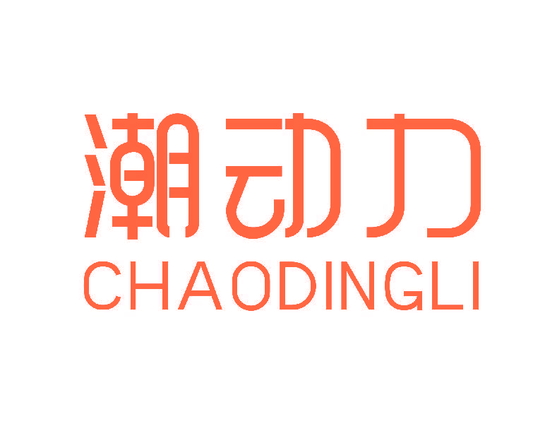 潮动力 CHAODINGLI
