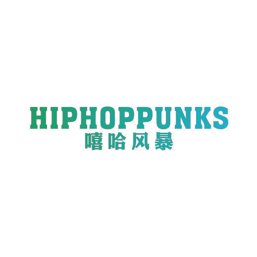 HIPHOPPUNKS 嘻哈风暴