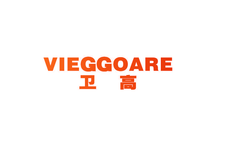 卫高 VIEGGOARE