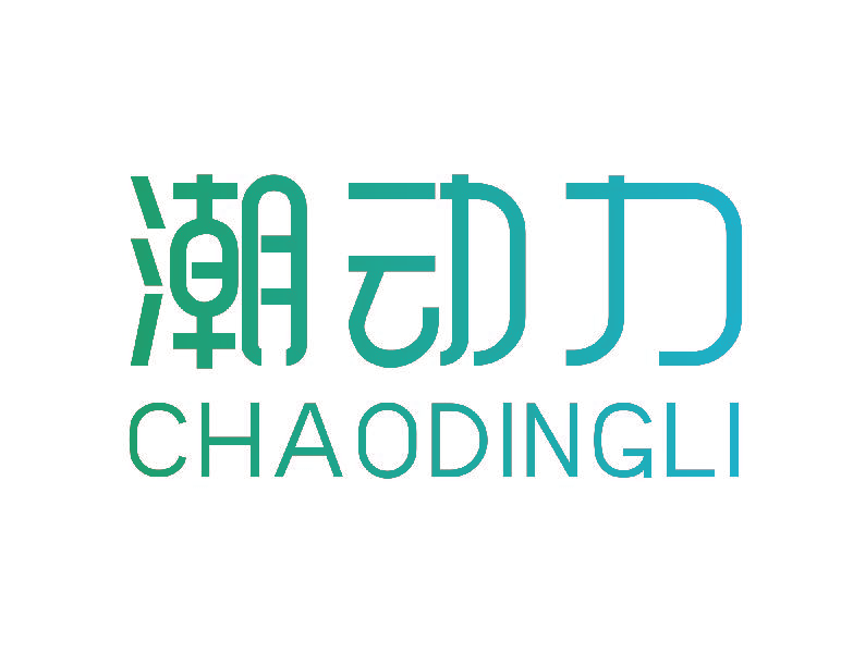 潮动力 CHAODINGLI