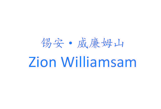 锡安·威廉姆山 ZION WILLIAMSAM