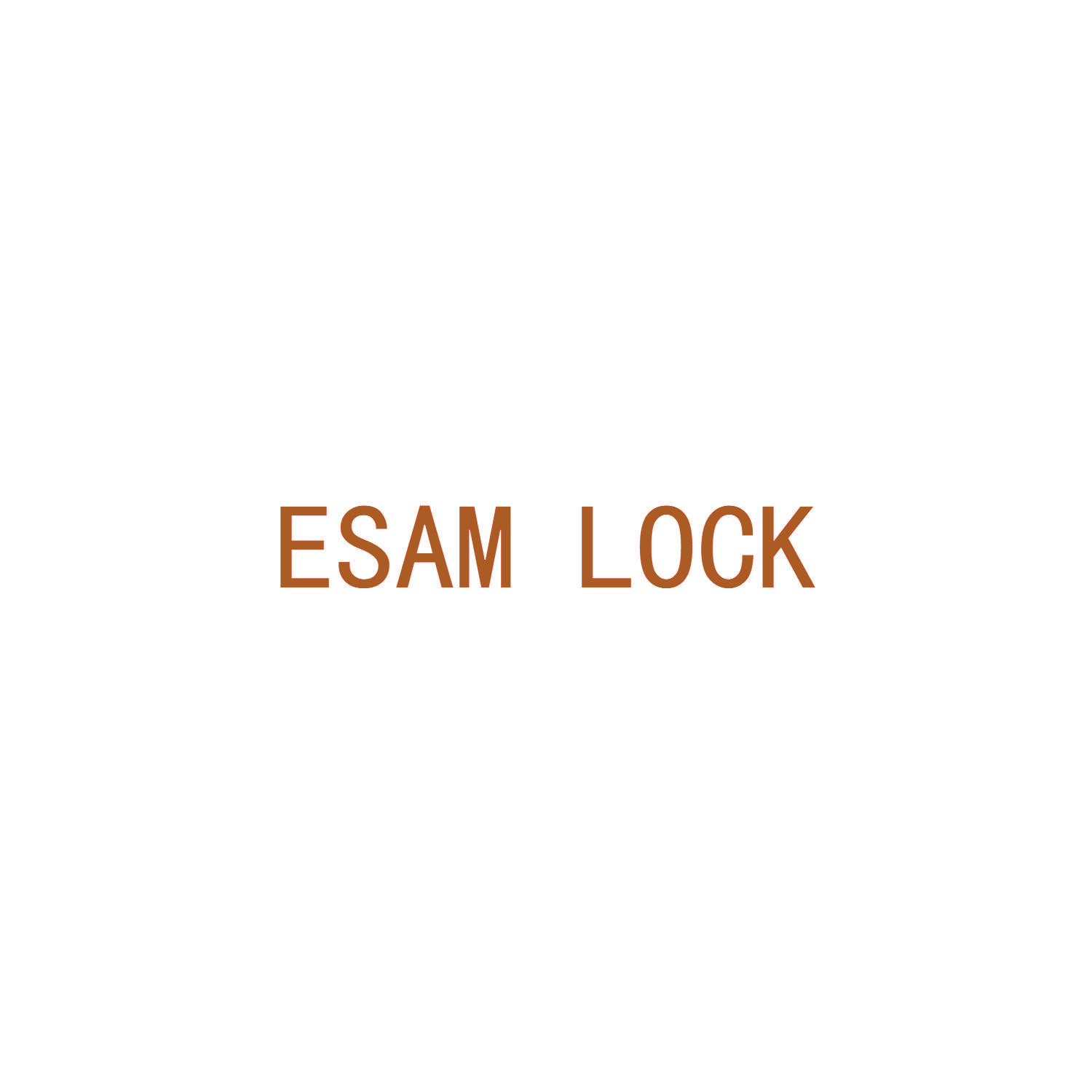 ESAM LOCK