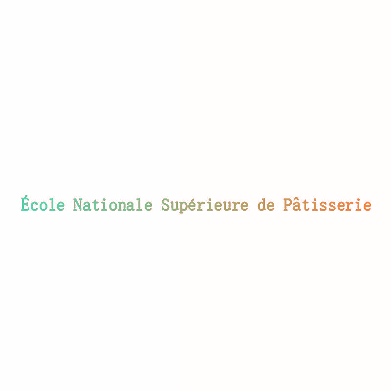 ECOLE NATIONALE SUPERIEURE DE PATISSERIE
